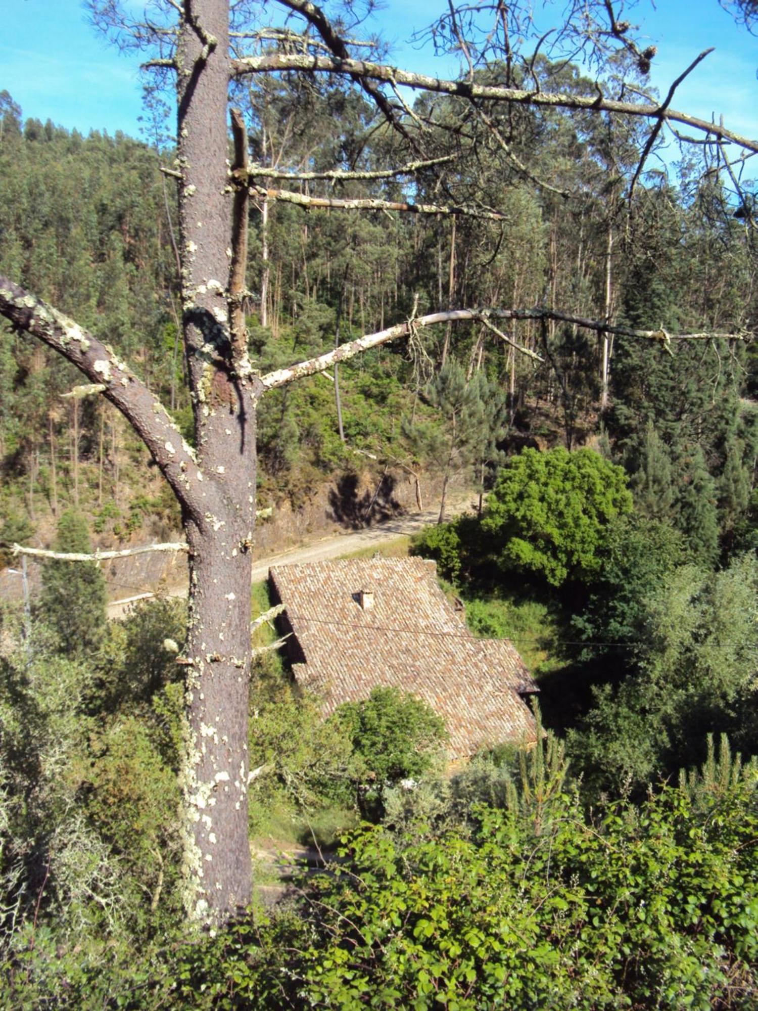 Parque Tematico Vale De Mouro Villa Exterior photo